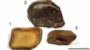 Учёный нашёл обломки Тунгусского метеорита
