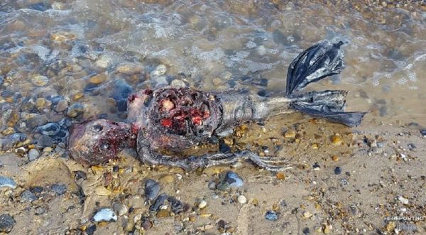 К берегам Великобритании выбросило мёртвую русалку