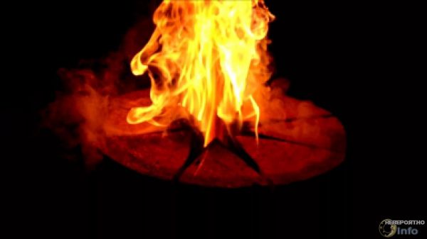 Житель Сономы снял на видео дерево, горящее изнутри