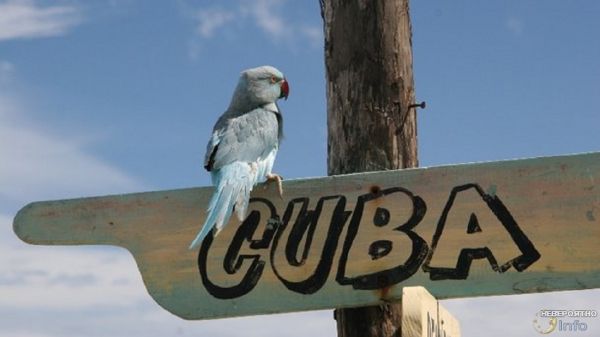 Акустическая атака: американские дипломаты на Кубе вышли из строя