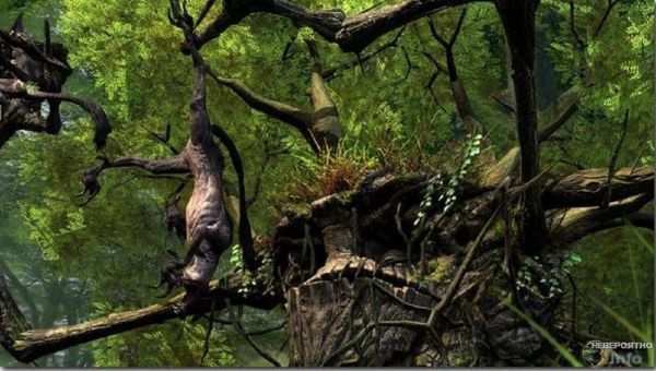 Африканское дерево-людоед было завезено пришельцами