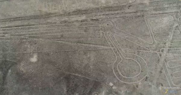 Новые геоглифы на плато Наска в Перу