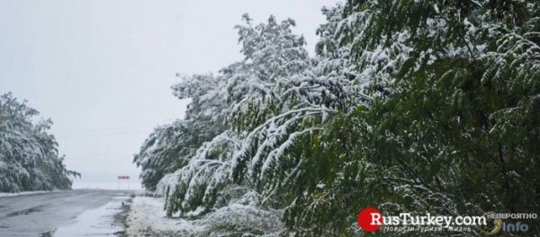 Турцию засыпало снегом: видео очевидцев