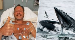 Дайвер в США выжил после того, как побывал в пасти кита