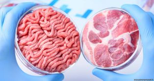 В США открылся первый в мире завод по производству искусственного мяса