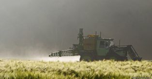 Следы потенциально вредных пестицидов найдены в моче каждого третьего американца