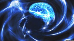 Мозг хранит память в электрическом поле