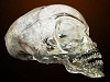 Найденные в Перу мумии-это не люди