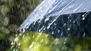 Дождевая вода больше не считается безопасной для употребления