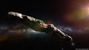 Инопланетный корабль или комета: вокруг межзвездного объекта Оумуамуа разгорается новый скандал