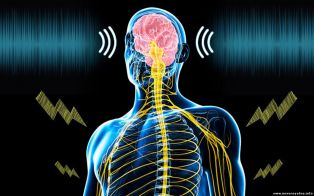 Ученые научились лечить хроническую боль с помощью звука