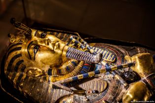 Археолог, обнаруживший гробницу Тутанхамона, украл сокровища фараона