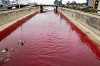 Река в Бейруте стала кроваво-красной (видео)