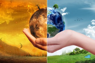 10 распространенных заблуждений об окружающей среде