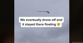 Видео с «летающей метлой» стало вирусным в TikTok