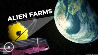 Телескоп Джеймса Уэбба найдет инопланетную жизнь на планетах с развитым сельским хозяйством
