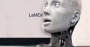 Google уволил программиста, заявившего о создании разумного чат-бота LaMDA