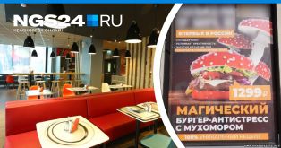 В кафе Красноярска будут продавать «антистресс-бургеры с мухомором»
