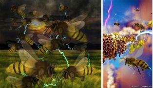 Удивительно, но: пчелы вырабатывают электричество и могут менять погоду