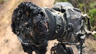 Яблоня и фотоаппарат сгорели в Пензе после съёмки аномального объекта