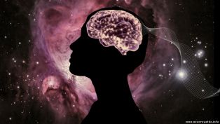 Мозг работает как вселенная! Поразительный факт