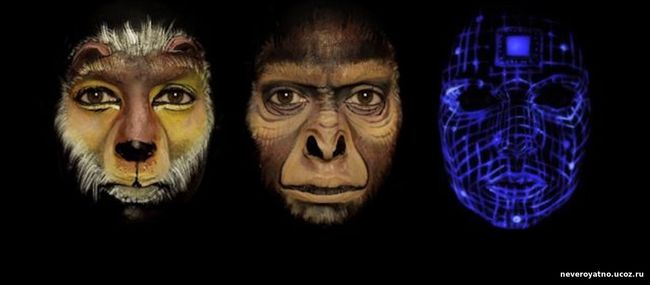 Отсутствие переходных форм - веский аргумент против теории эволюции